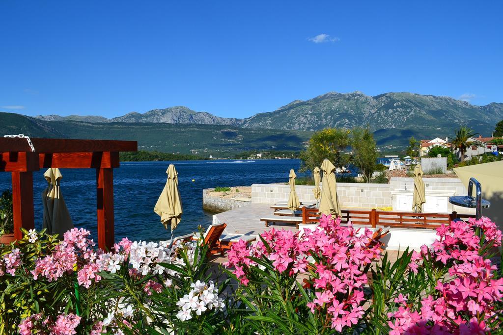 Apartments Harmonia Tivat Exteriér fotografie